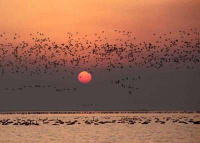 南昌有些什么旅游景點