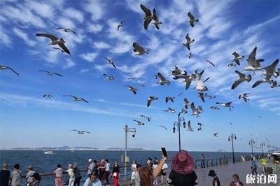 旅順有什么好玩的