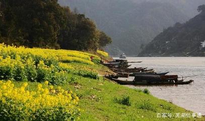 蕪湖附近農(nóng)家樂