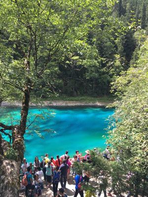 成都如何去九寨溝旅游 成都如何去九寨溝旅游有火車嗎