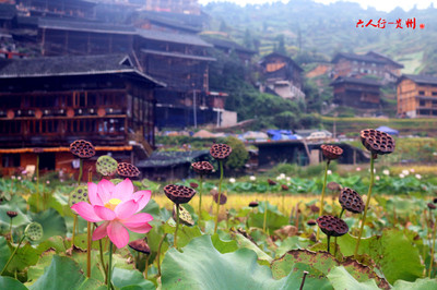 西江千戶苗寨路線