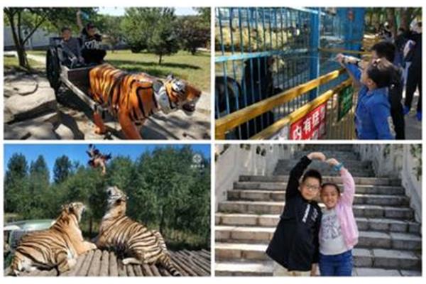 沈陽(yáng)適合小孩玩的景區(qū)